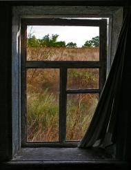 В'язівка з panoramio.com