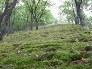 Гораївка з panoramio.com