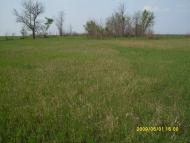 Макарівщина з panoramio.com