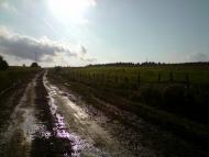 Конів з panoramio.com