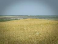 Красний Деркул з panoramio.com