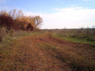 Шевченкове з panoramio.com