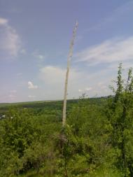 Вила з panoramio.com - Vyla
