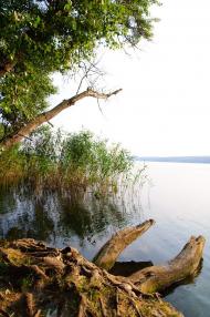 Гороховатка з panoramio.com