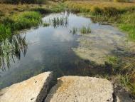 Лаврики з panoramio.com