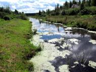 Рудка з panoramio.com