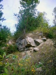 Бушеве з panoramio.com - Бушево