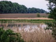 Товкачівка з panoramio.com