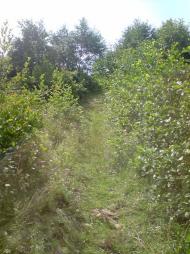 Конів з panoramio.com