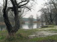 Червоний Донець з panoramio.com - Червоный Донец