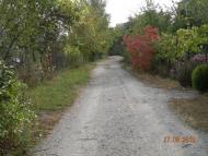 Новоселівка з panoramio.com