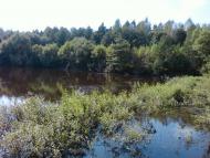 Мізяківська Слобідка з panoramio.com