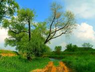 Біле з panoramio.com