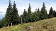 Мислівка з panoramio.com - Мысливка