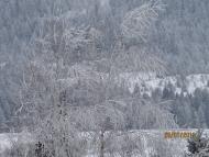 Дністрик-Дубовий з panoramio.com