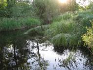 Кропивня з panoramio.com