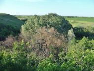 Цупки з panoramio.com - Цупки