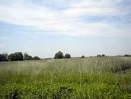 Качмарі з panoramio.com