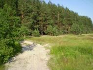 Пилиповичі з panoramio.com