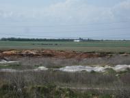 Завітне з panoramio.com