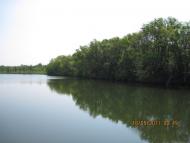 Киселеве з panoramio.com