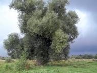 Вокзал-Городня з panoramio.com