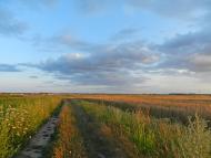 Турійськ з panoramio.com - Турийск