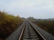 Кузьминчик з panoramio.com