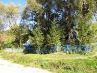 Лопушне з panoramio.com