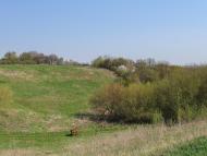 Єлизаветівка з panoramio.com