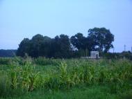 Волиця з panoramio.com