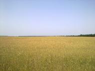Дашів з panoramio.com - Dashiv