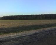 Старий Кривин з panoramio.com