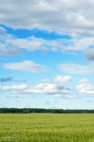 Карабинівка з panoramio.com