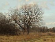 Маячка з panoramio.com