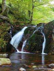 Зарічне з panoramio.com