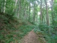 Обава з panoramio.com