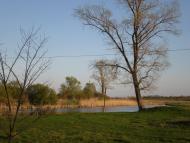 Журів з panoramio.com - Журов