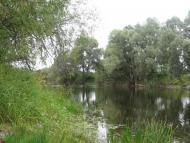 Таранське з panoramio.com