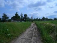 Алтинівка з panoramio.com