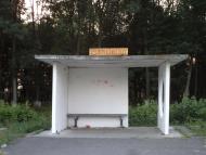 Ромашки з panoramio.com