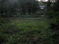 Креничі з panoramio.com