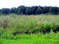 Рудка з panoramio.com