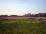 Веснянка з panoramio.com