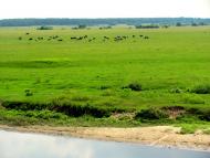 Хотин з panoramio.com