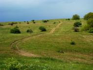 Ясенівський з panoramio.com