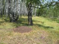 Рудня-Гацьківка з panoramio.com