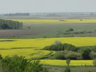 Веселе з panoramio.com