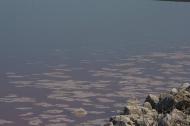 Філатівка з panoramio.com