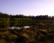 Привілля з panoramio.com - Pryvillya